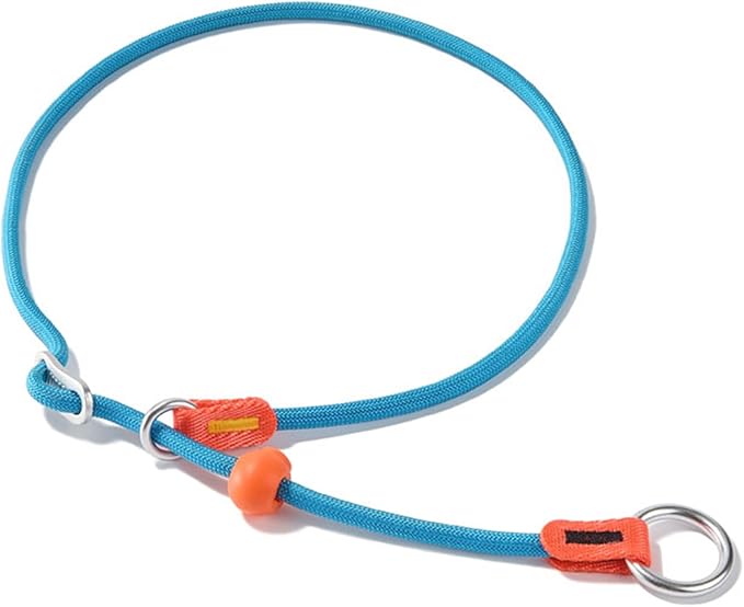 HowGo Slip Collar for Dogs,No Pull Adjustable Martingale Collar for Training, Nylon Rope,Dual Stopper and Durable Aluminum Hardware,Spring-Loaded,for Small Medium Large Dogs(Blue)