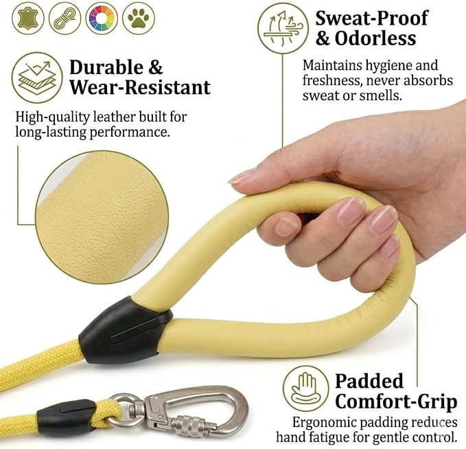 Dog Leash, 5ft Dog Rope Leashes,Braided Dogs Leashes,Leather Leads,Pet Leash for Small Dogs,Resistant Lead Rope,Puppy Leads,Pet Lead for Small, Medium, Large Dogs(Light Yellow, 5 FEET)
