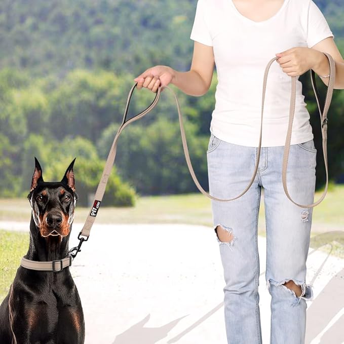 Plutus Pet Double Handle Dog Leash 6ft, Heavy Duty, Reflective Dual Handle Dog Leash for Safety Training, for Medium Large Dogs,2 Handle Leads(Beige)