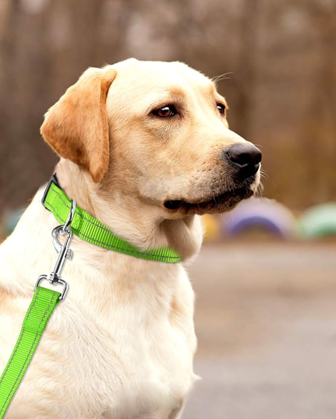 FunTags Length 16" - 24" Reflective Green Dog Collar for Large Dogs – Night Walking & Training Safety, Durable Quick Release Buckle, Nylon, Comfortable Adjustable, Width 1"