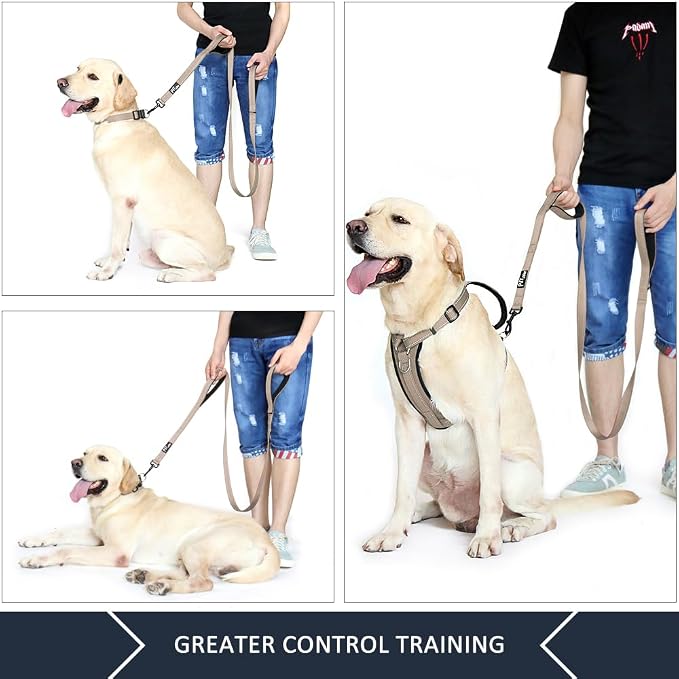 Plutus Pet Double Handle Dog Leash 4ft, Heavy Duty, Reflective Dual Handle Dog Leash for Safety Training, for Medium Large Dogs,2 Handle Leads(Beige)