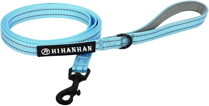 Reflective 6 FT Dog Leash, Premium Traditional Style Puppy Leash with Easy to Use Collar Hook for Small, Medium, and Large Breed Puppies (Blue, 3/4 in x 6 ft)