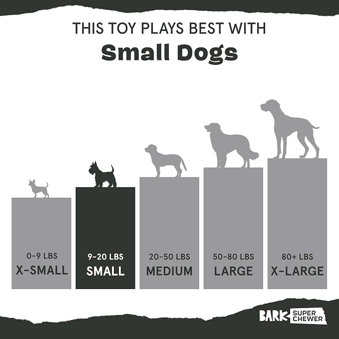 Barkbox Super Chewer Tough Dog Chew Toys for Aggressive Chewers, Dental Stimulating (Turkey - Small)