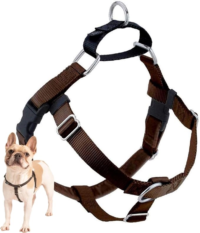 2 Hounds Design Freedom No Pull Dog Harness, Adjustable Harness, Easy Walking & Comfortable Control, Fits Small, Medium & Large Dogs, Solid Colors, Made in USA, 1" LG, Brown