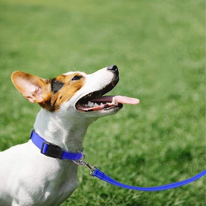 FunTags 6FT Royal Blue Reflective Dog Leash for Large & Medium Dogs Walking, Soft Padded Handle Comfortable Grip, Heavy Duty Nylon, Reflective for Night Walking, 1in Wide