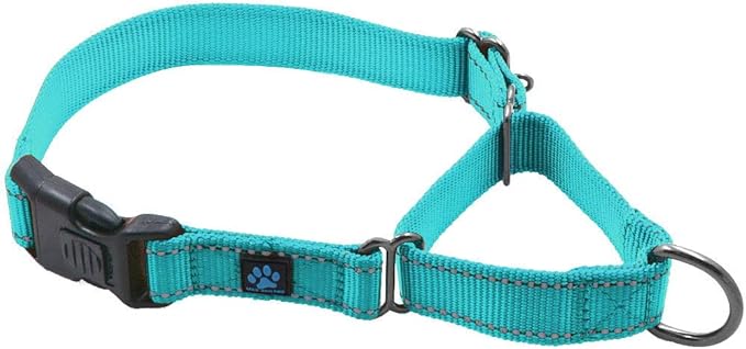 Max and Neo Nylon Martingale Collar - We Donate to a Dog Rescue for Every Collar Sold (Small, Teal)