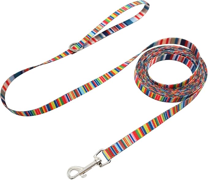 WYuZe Waterproof Dog Leash 7FT 12FT, Odor-Proof Strong Coated Nylon Webbing Easy to Clean, Long Dog Leash for Outdoor Walking, Hiking, Beach Playing (12ft, Rainbow)