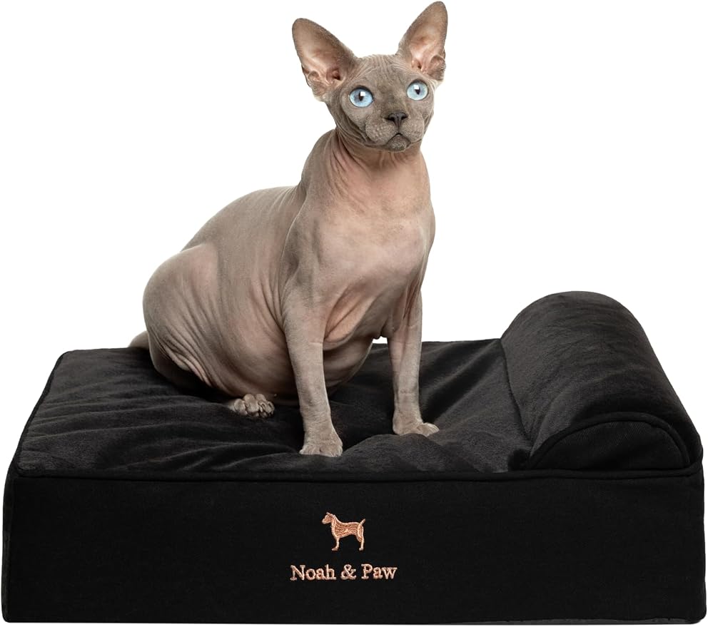 NOAH & PAW Small Dog Bed, 20x15x6.5 Inch, Cat Bed for Indoor Cats, Orthopedic Eggshell Memory Foam Infused with Cooling Gel, Water Resistant, Machine Washable, Includes Inner Cover (Denim Collection)