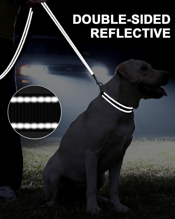 Taglory Dog Leash for Medium Large Dogs, Double-Sided Reflective for Night Walking, Neoprene Padded Handle, 1 inch by 6 ft, Heavy Duty for Medium Large Breeds 20-150 lbs, Black