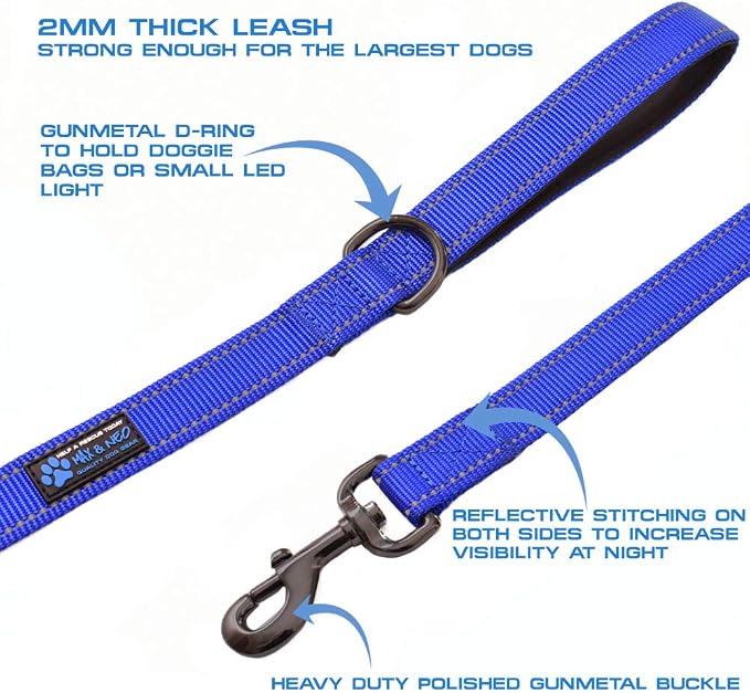 Max and Neo™ Double Handle Traffic Dog Leash Reflective - We Donate a Leash to a Dog Rescue for Every Leash Sold (Blue)