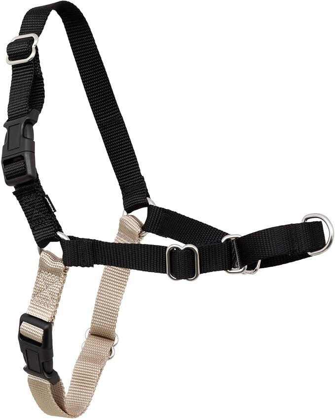PetSafe Easy Walk No-Pull Dog Harness - Ultimate Harness to Help Stop Pulling - Pull-Free Walks - Take Control & Teach Better Leash Manners - Patented Martingale Loop Design - Black, Petite