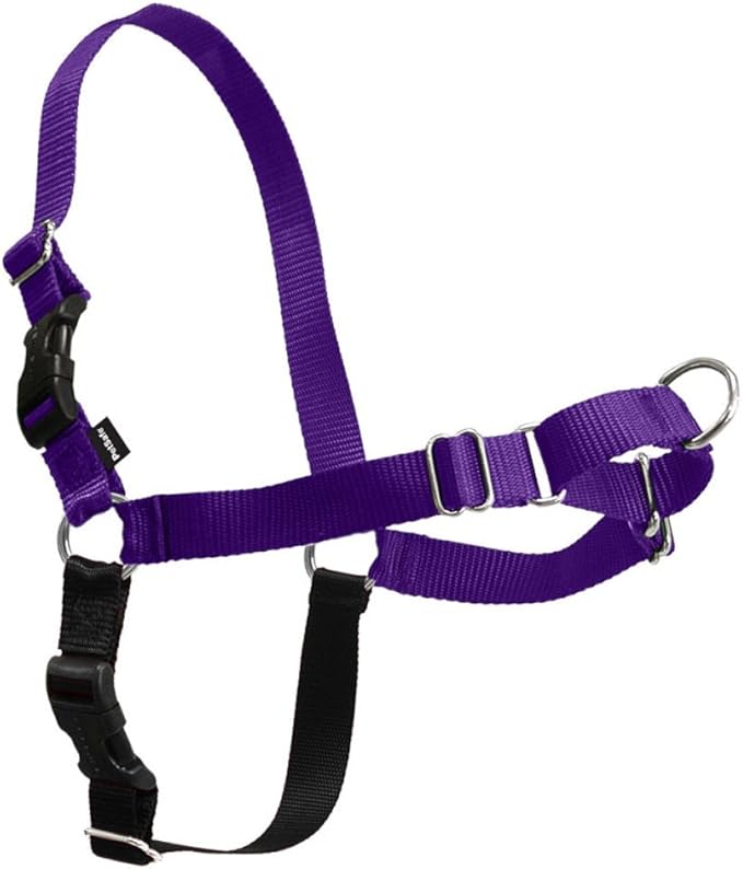 PetSafe Easy Walk No-Pull Dog Harness - Ultimate Harness to Help Stop Pulling - Pull-Free Walks - Take Control & Teach Better Leash Manners - Patented Martingale Loop Design - Deep Purple, Medium