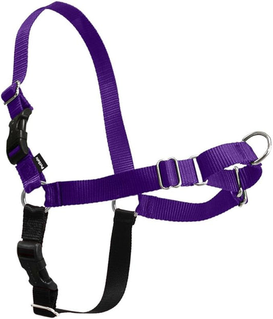 PetSafe Easy Walk No-Pull Dog Harness - Ultimate Harness to Help Stop Pulling - Pull-Free Walks - Take Control & Teach Better Leash Manners - Patented Martingale Loop Design - Deep Purple, Medium