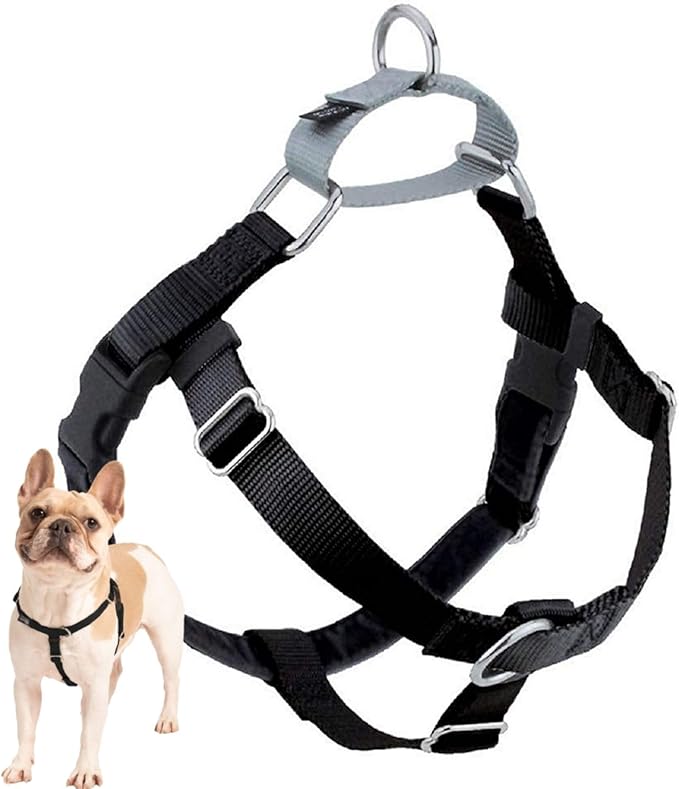 2 Hounds Design Freedom No Pull Dog Harness, Adjustable Harness, Easy Walking & Comfortable Control, Fits Small, Medium & Large Dogs, Solid Colors, Made in USA, 1" XXL, Black