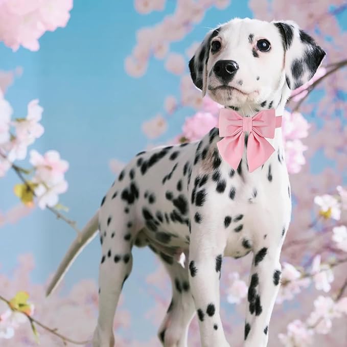 Maca Bates Cherry Pink Dog Collar with Cute Solid Sailor Bow Tie for Small Girl Boy Dogs,Girly Adjustbale Durable Breakaway Soft Collars with Bowtie for Female Male Puppy,Pet with Metal Buckle