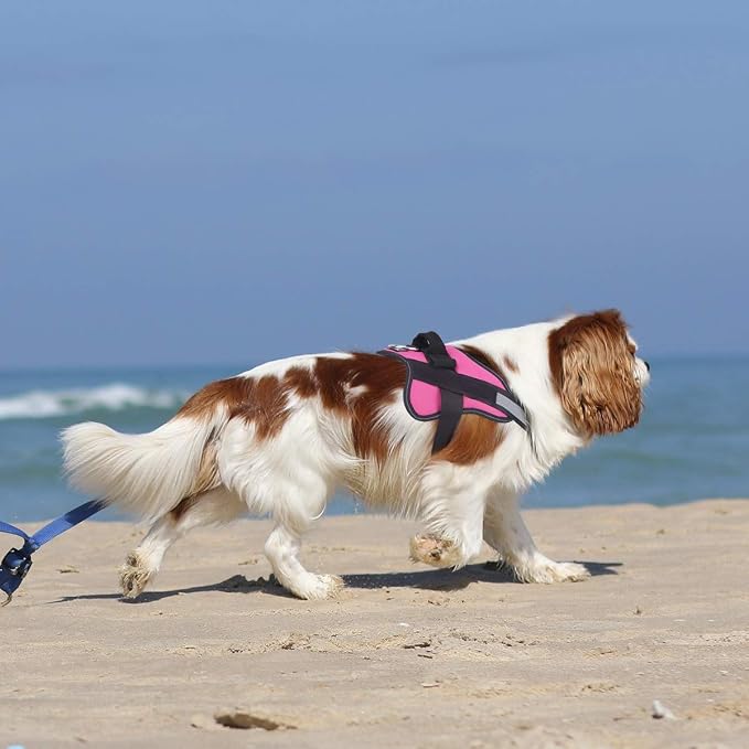 Dog Harness, No-Pull Reflective Dog Vest, Breathable Adjustable Pet Harness with Handle for Outdoor Walking - No More Pulling, Tugging or Choking (Rose red, L)