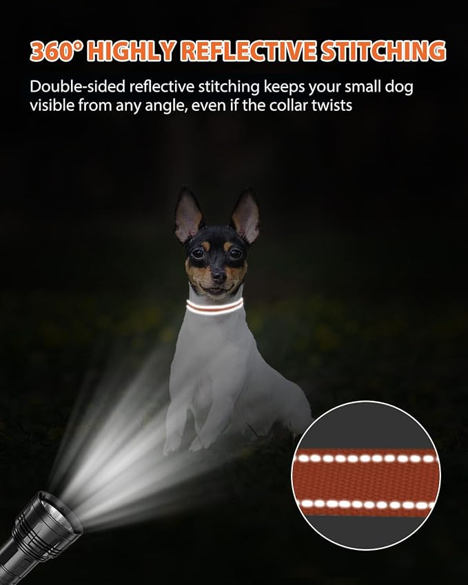 Joytale Puppy Collar, Feather-Light Double-Sided Reflective Nylon Collar for Night Safety, Adjustable Quick-Release for Extra Small Dogs, Orange, XS (3/8" Width)