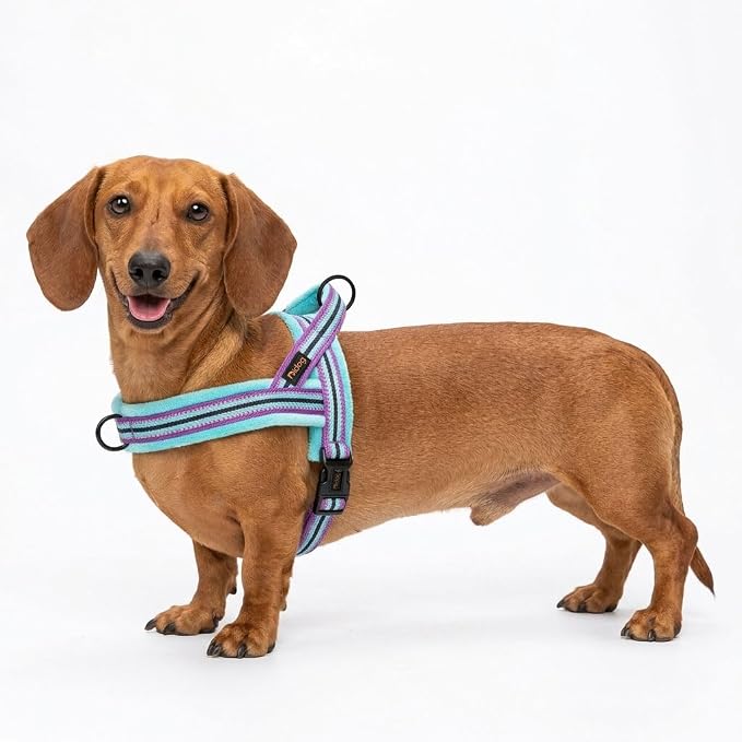 Didog Soft Flannel Padded Dog Vest Harness, No Pull/Quick Fit Reflective Dog Strap Harness, Easy for Training Walking (XS:Chest 15-18", Mixed-Blue)