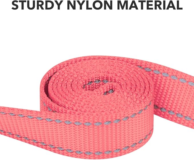 Taglory Dog Leash for Medium Large Dogs, Double-Sided Reflective for Night Walking, Neoprene Padded Handle, 1 inch by 5 ft, Heavy Duty for Medium Large Breeds 20-150 lbs, Pink