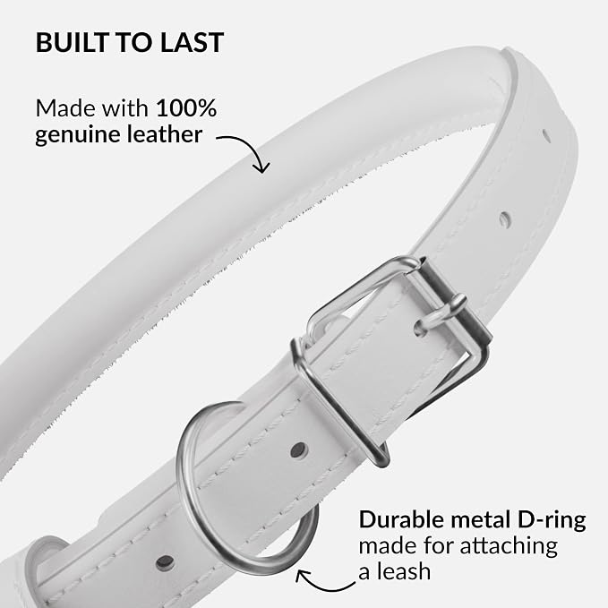 CollarDirect Rolled Leather Dog Collar, Soft Padded Round Puppy Collar, Handmade Genuine Leather Collar Dog Small Large Cat Collars 13 Colors (12-15 Inch, White Smooth)