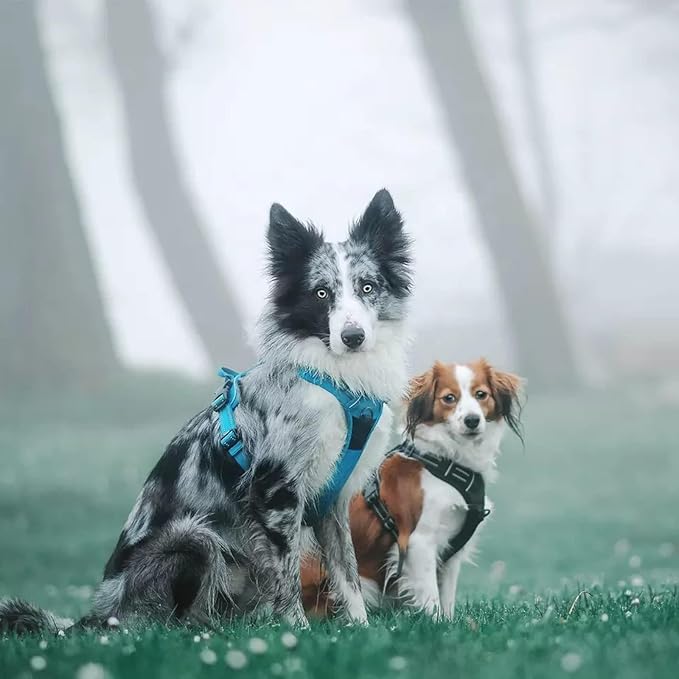 TRUE LOVE Adjustable No-Pull Dog Harness Reflective Pup Vest Harnesses Comfortable Control Brilliant Colors TLH5651(Blue,XS)