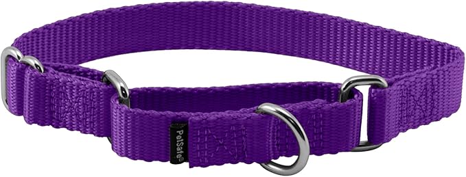 PetSafe Martingale Dog Collar Small, 3/4 Inch, Deep Purple