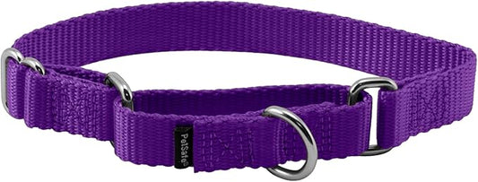 PetSafe Martingale Dog Collar Small, 3/4 Inch, Deep Purple