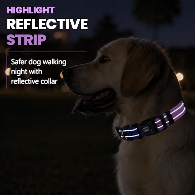 Roses&Poetry Small Dog Collar, Adjustable Reflective Puppy Collars Durable Pet Collars for Small Medium Large Dogs(BluePurple-S)