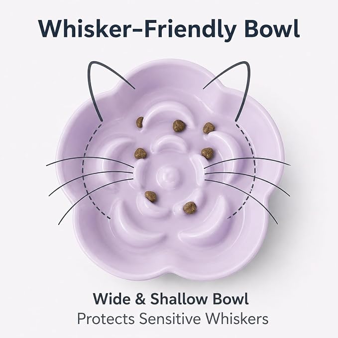 Ceramic Elevated Slow Feeder Cat Bowl, Raised and Gently Tilted Feeding Dish with Maze Design, Whisker-Friendly, Easy to Clean, for Indoor Cats and Small Dogs (Yellow/Purple)