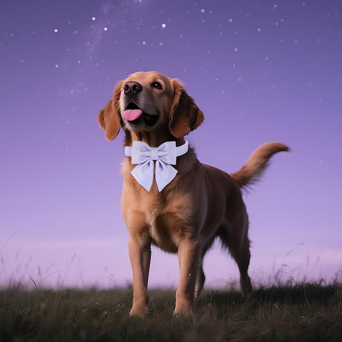 Maca Bates Violet Dog Collar with Cute Lavender Solid Sailor Bow Tie,Extra Small Girl Boy Dogs,Girly Adjustbale Durable Breakaway Soft Collars with Bowtie for Female Male Puppy,Pet with Metal Buckle