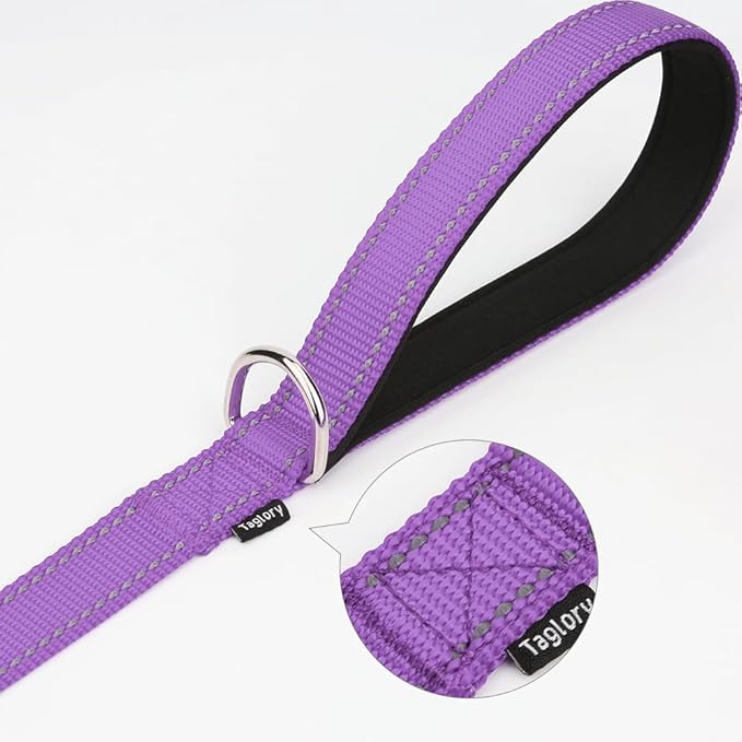 Taglory Dog Leash for Medium Large Dogs, Double-Sided Reflective for Night Walking, Neoprene Padded Handle, 1 inch by 4 ft, Heavy Duty for Medium Large Breeds 20-150 lbs, Purple