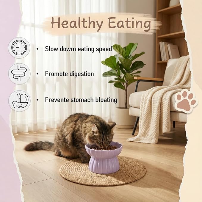 Ceramic Cat Slow Feeder, Raised Slow Feeder Cat Bowl, Anti Vomiting and Whisker Friendly Kitty Dish, Elevated Puppy Kitten Food Bowl for Dry and Wet Food (Purple)