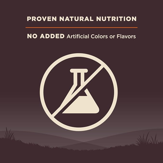 Wellness CORE Adult Dry Dog Food, Grain Free Kibble, Natural, High Protein, Turkey and Chicken Recipe, 4 lb Bag