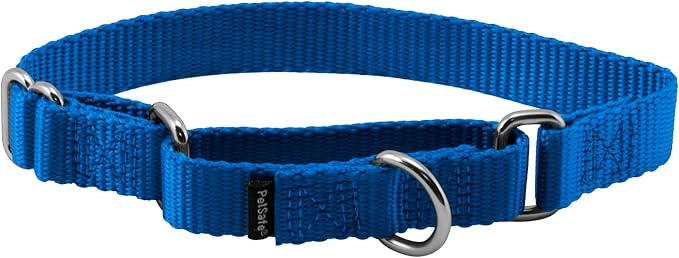PetSafe Martingale Dog Collar Small, 3/4 Inch, Royal Blue