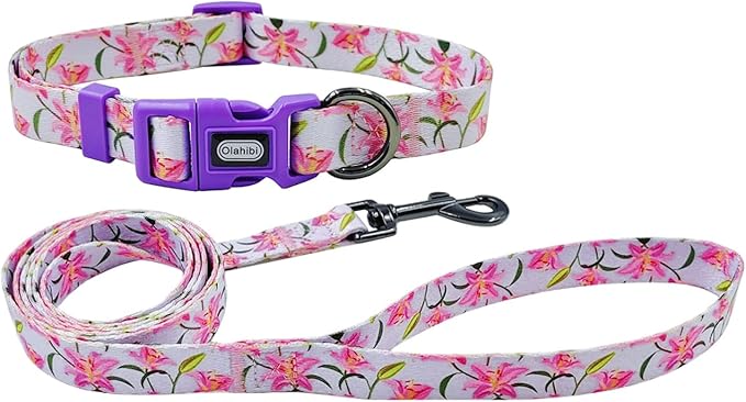 Dog Collar Leash Set, Floral Pattern, Polyester Material, Adjustable Collar and 5ft Matchcing Leash, for Puppy Dogs.(XS, Purple Lily)