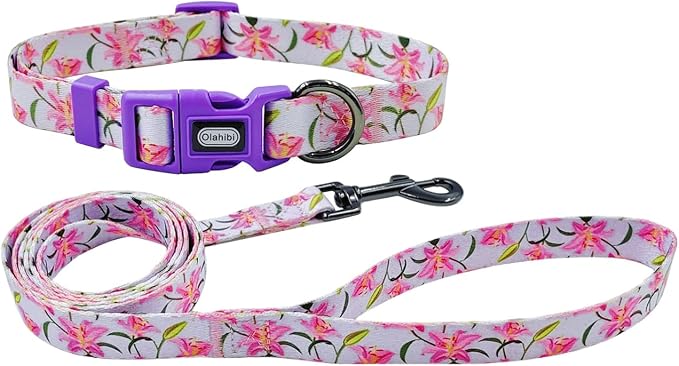Dog Collar Leash Set, Floral Pattern, Polyester Material, Adjustable Collar and 5ft Matchcing Leash, for Medium Dogs.(M, Purple Lily)