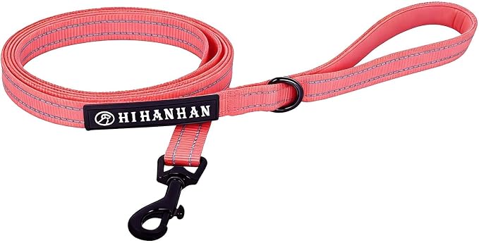 Reflective 6 FT Dog Leash, Premium Traditional Style Puppy Leash with Easy to Use Collar Hook for Small, Medium, and Large Breed Puppies (Pink, 3/4 in x 6 ft)
