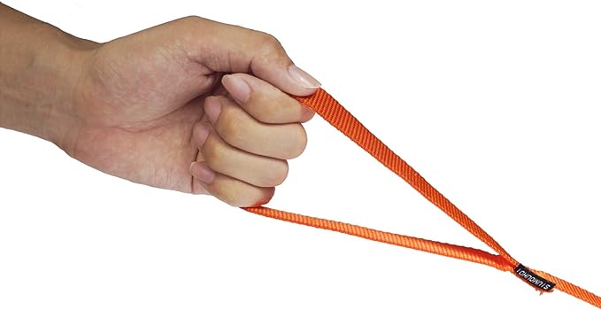 Dog/Puppy Obedience Recall Training Agility Lead - 15ft 20ft 30ft 50ft Training Leash - Great for Play, Camping, or Backyard - Orange 15ft (15Feet, Orange)