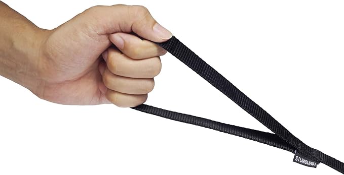 Strong Durable Nylon 10ft Long Dog Training Leash, Traction Rope, 1 Inch Wide, for Small and Medium Dog (Black, 10 Feet)