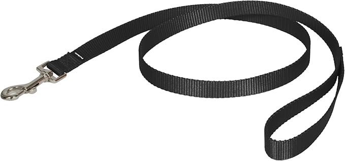 PetSafe Nylon Dog Leash Strong, Durable, Traditional Style Lead with Easy to Use Bolt Snap for Small, Medium and Large Dogs 3/4" x 4', Black