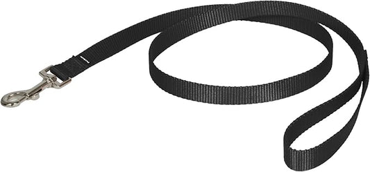PetSafe Nylon Dog Leash Strong, Durable, Traditional Style Lead with Easy to Use Bolt Snap for Small, Medium and Large Dogs 3/4" x 4', Black