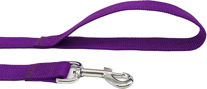 TAIAN 4 FT Strong Dog Leash, Nylon Dog Leashes for Small Medium Large Dogs