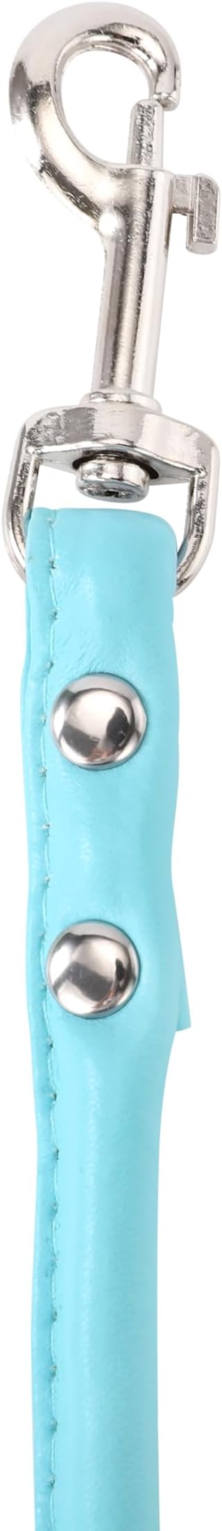 Light Blue Soft Leather Dog Leash for Small,Medium Dog Walking, Comfortable Leather Handle, 4 ft Light Blue