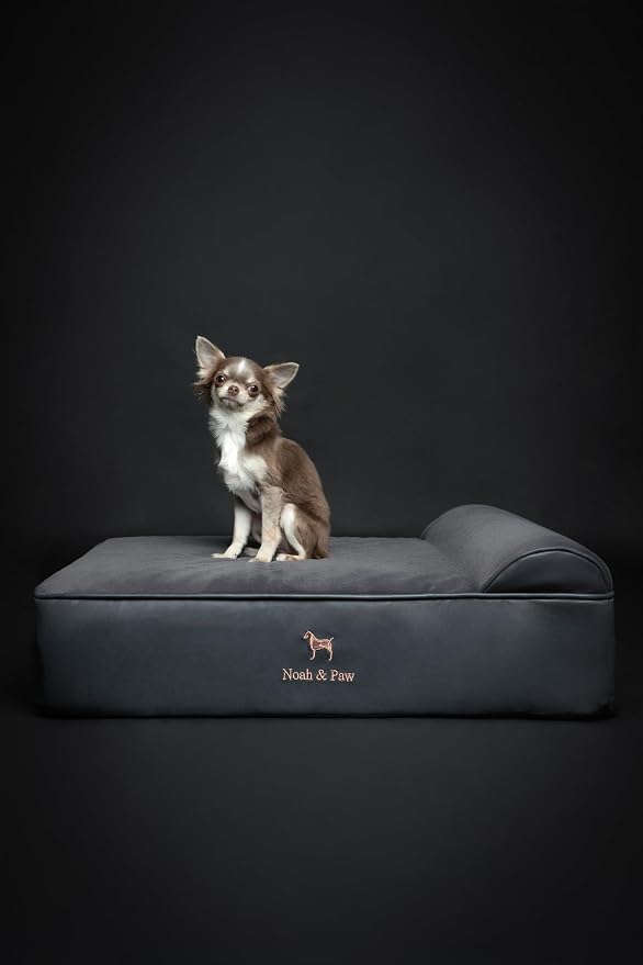 NOAH & PAW Dog Bed, 28x23x7.5 Inch, Orthopedic Dog Beds for Medium Size Pets, Eggshell Memory Foam Infused with Cooling Gel, Water Resistant, Machine Washable, Includes Inner Cover (Faux Leather)