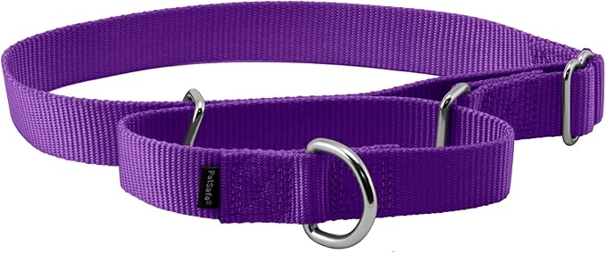 PetSafe Martingale Dog Collar Large, 1 Inch, Deep Purple