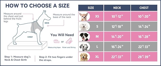PHOEPET No Pull Dog Harnesses for Small Dogs Reflective Adjustable Front Clip Vest with Handle 2 Metal Rings 3 Buckles [Easy to Put on & Take Off](S, Blue)