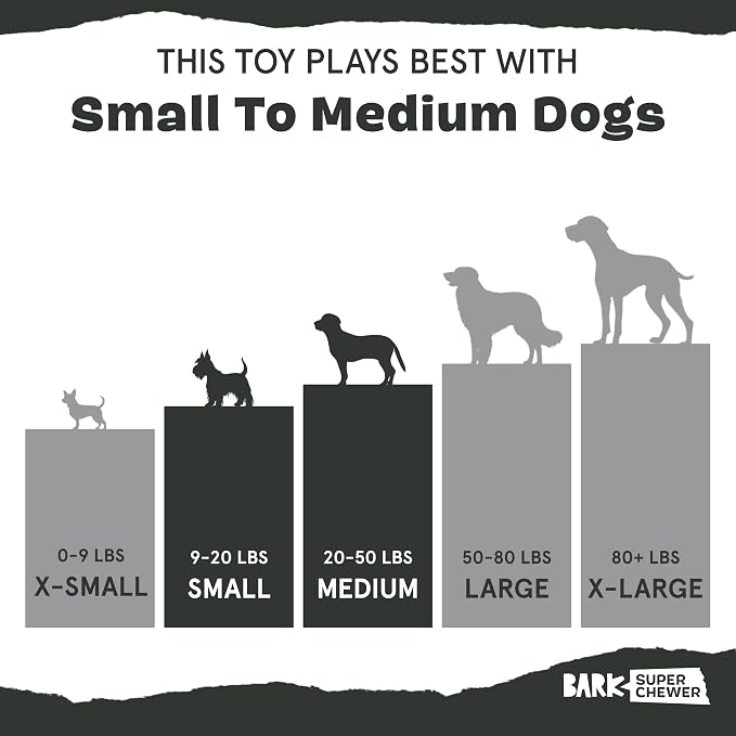 Barkbox Squash Dog Toy | Natural Rubber, Treat Dispensing, Cream Scented & Fun Wobble Design | Dog Toy for Aggressive Chewers
