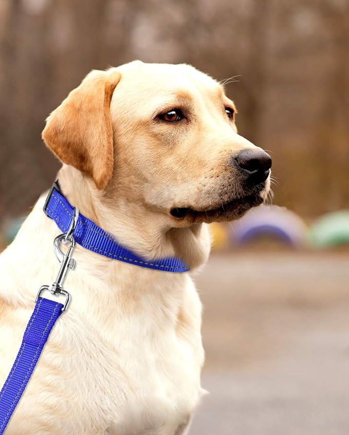 FunTags Length 16" - 24" Reflective Navy Blue Dog Collar for Large Dogs – Night Walking & Training Safety, Durable Quick Release Buckle, Nylon, Comfortable Adjustable, Width 1"