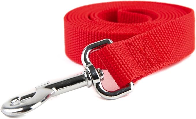 Nylon Dog Training Leash, Traction Rope, 4Ft /5 Foot /6 Feet Long, 5/8 inch 3/4 Inch 1 Inch Wide, for Small and Medium Dogs (1'' x 12 FT, Red)