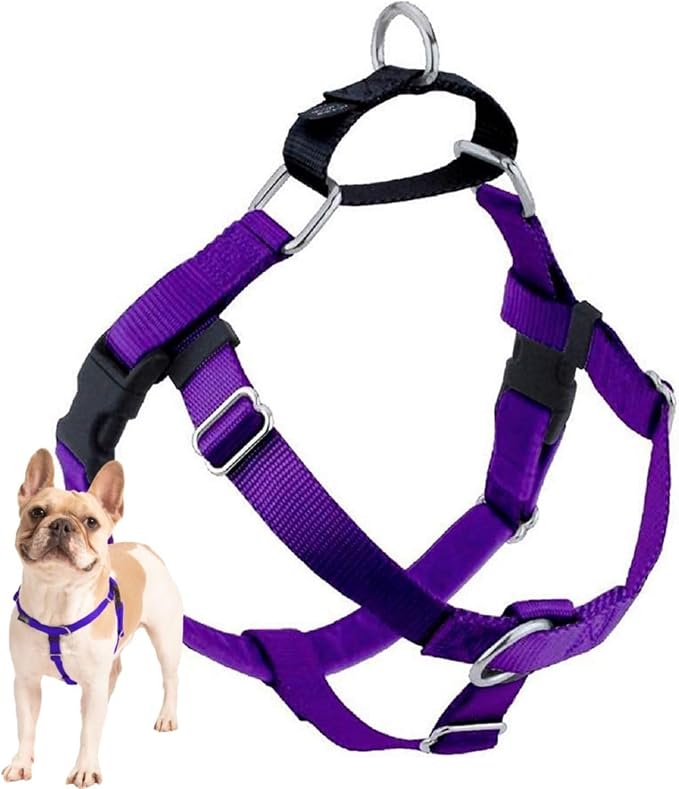 2 Hounds Design Freedom No Pull Dog Harness, Adjustable Harness, Easy Walking & Comfortable Control, Fits Small, Medium & Large Dogs, Solid Colors, Made in USA, 5/8" XS, Purple